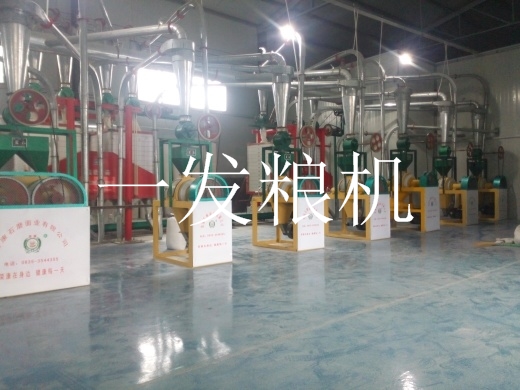 立式式石磨機(jī)組